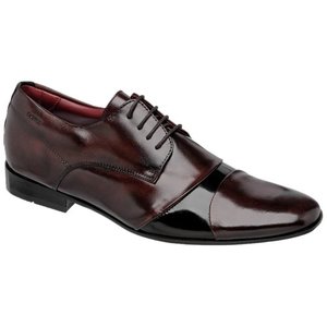 Sapato Masculino Lincoln Cromo Pinhão